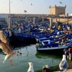Day trip to Essaouira from Marrakech