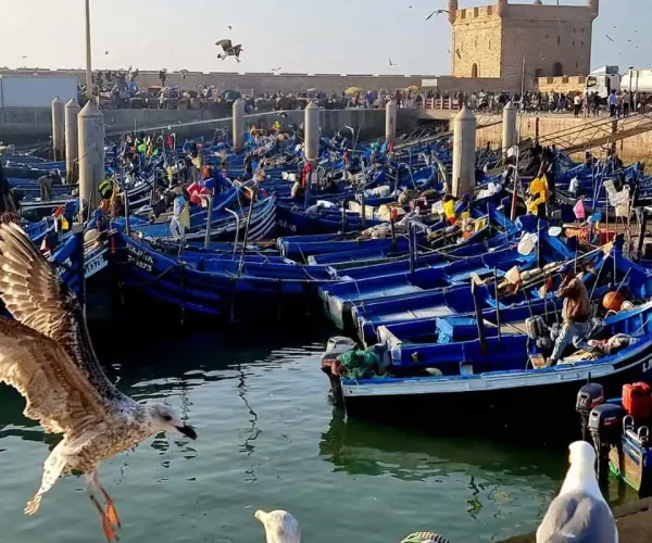 Day trip to Essaouira from Marrakech